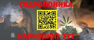 apvp Обь
