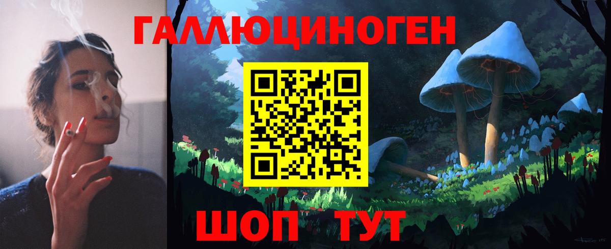 Янаул  Псилоцибиновые грибы прущие грибы  Вход с VPN  Псилоцибиновые грибы Psilocybe 