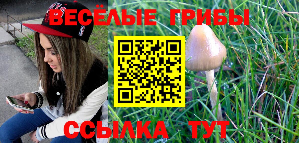 Псилоцибиновые грибы MAGIC MUSHROOMS Янаул