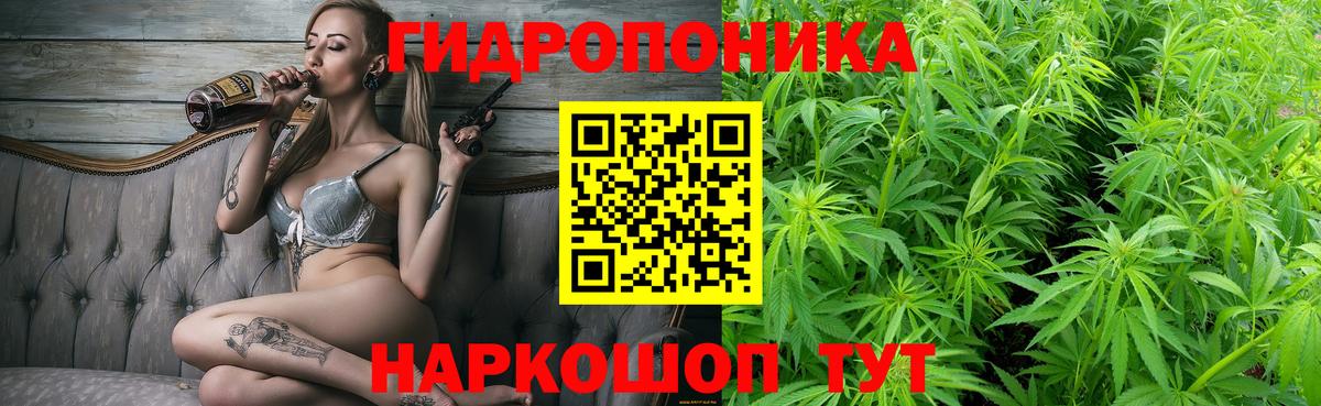 Шишки марихуана планчик  Канабис тримм  Вход с VPN  Янаул 